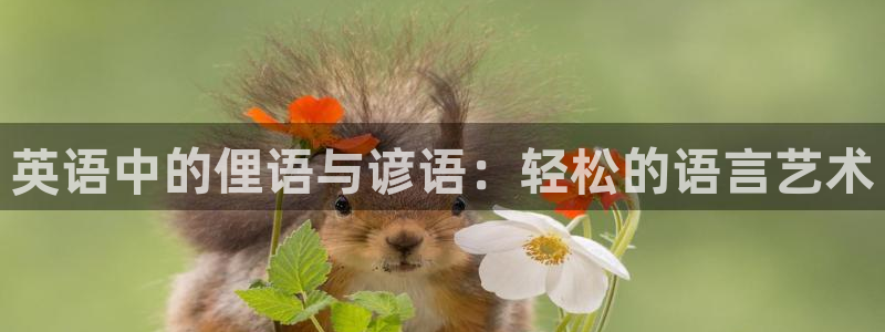 k1体育网址：英语中的俚语与谚语：轻松的语言艺术