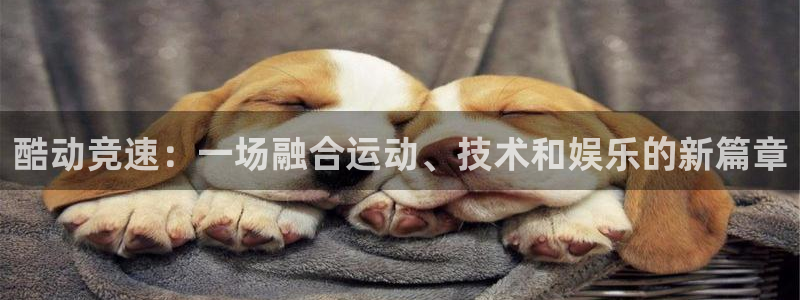 k1体育平台下载：酷动竞速：一场融合运动、技术和娱乐的新篇章