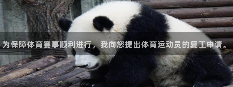 k1体育平台最新网站下载