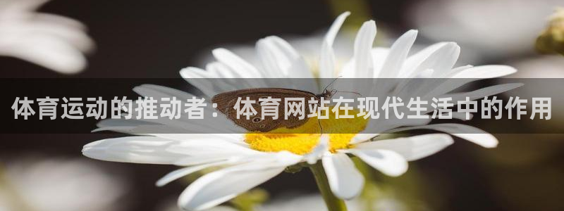 k1体育十年品牌官网