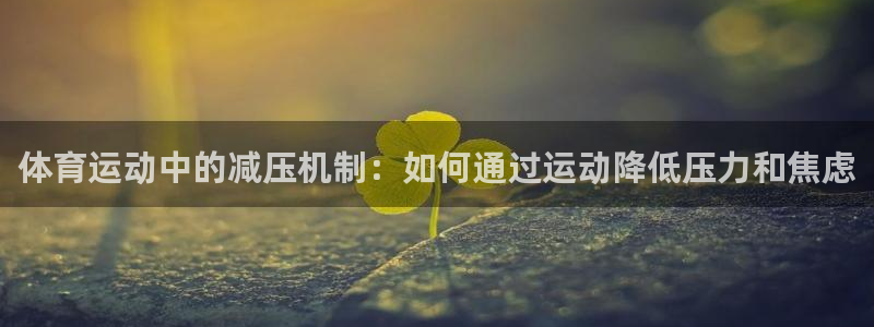 k1体育棋牌