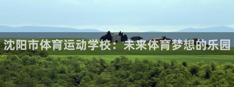 k1体育十年平台