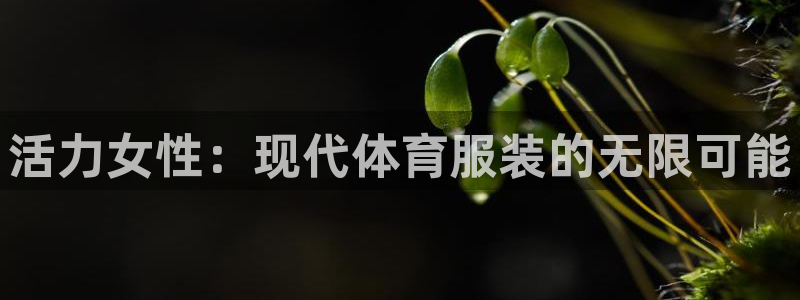 k1体育十年品牌官网