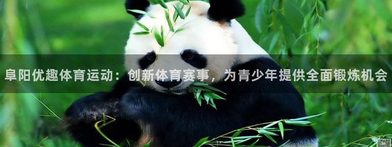 k1体育十年品牌官网