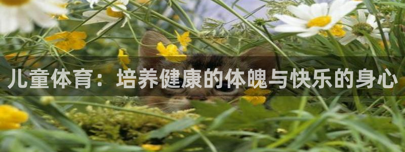k1体育网址是多少