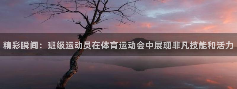 k1体育网站登录官网：精彩瞬间：班级运动员在体育运动会中展现非凡技能和活力